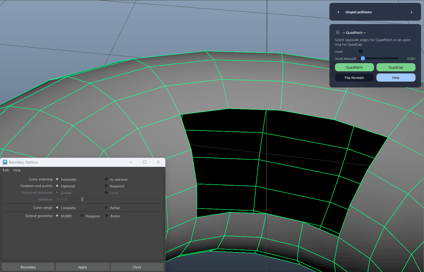 Deterministic Quad Boundary Build demo